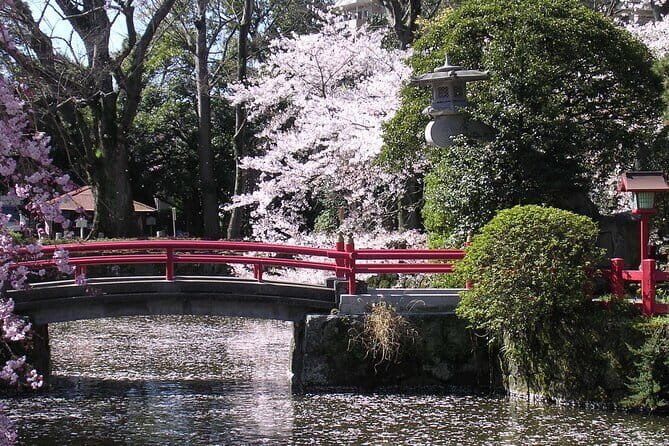 Bullet Train Experience & Mishima Shrine Private Tour from Tokyo - A bullet train day that drops you into calmer Japan