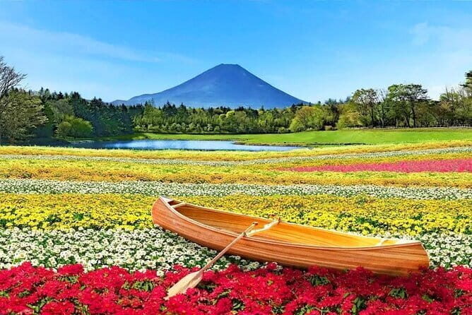 Bullet Train Experience & Mishima Shrine Private Tour from Tokyo - Mishima Station: a base town for Mount Fuji and Hakone traffic