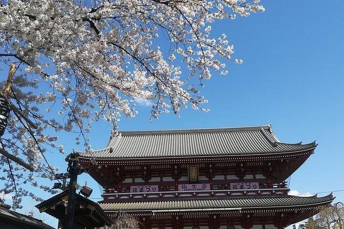 Cherry Blossom Highlights, Asakusa, Ueno, Imperial Palace Garden - Ameyoko Shopping Street: The Local Tokyo Mood After the Gardens