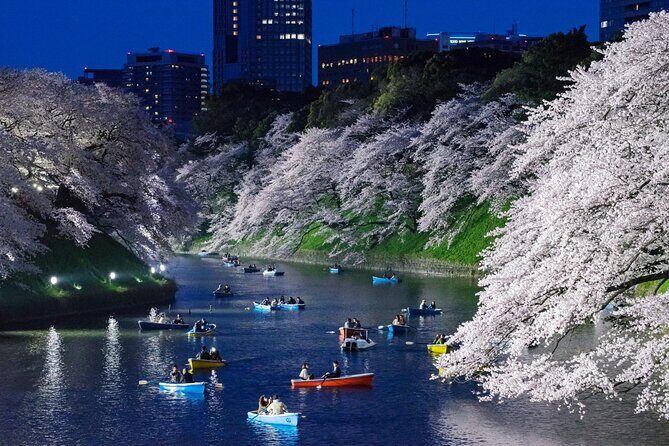 Cherry Blossom Private Tour - Comfort Between Stops: Snacks, Water, and Staying Flexible