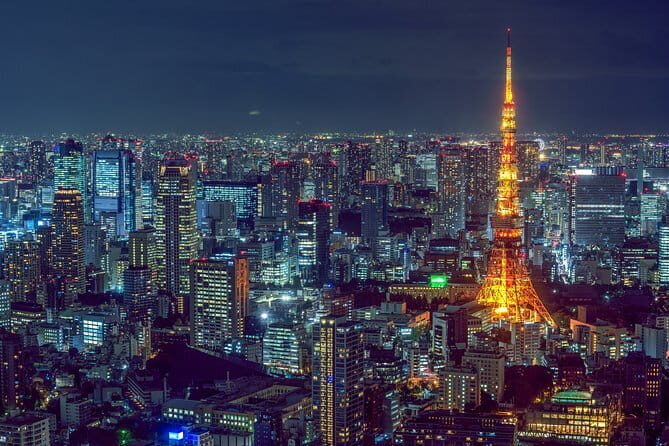Christmas Magic in Tokyo! Private & Family-Friendly Walking Tour - Who this tour suits best (and where it may not)