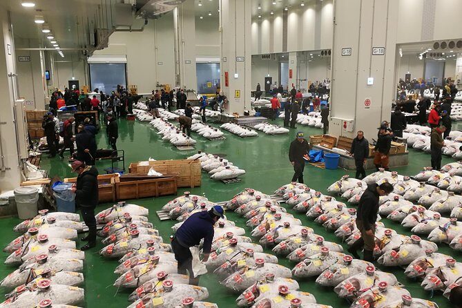 Complete Tuna Auction & Toyosu Fish Market Tour - Key things to know before you go