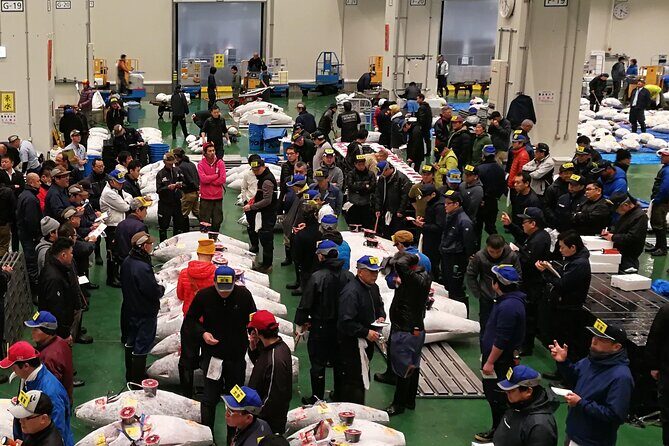 Complete Tuna Auction & Toyosu Fish Market Tour - Watching the full tuna auction from inspection to the bluefin moment