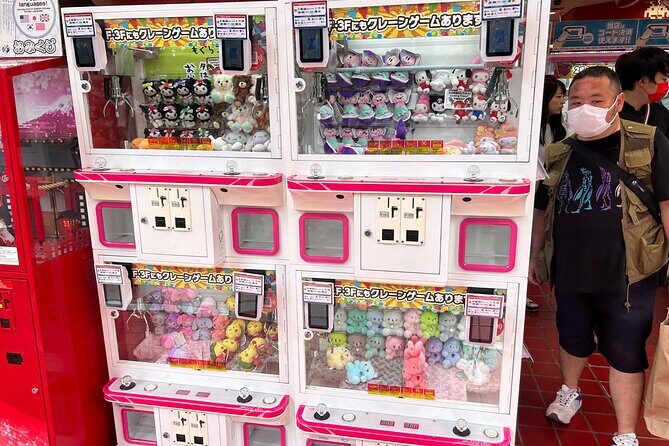 Crazy about Anime! Private Full Day Tokyo Manga Anime Tour by Chartered Vehicle - Nakano Broadway: manga, idols, figures, and toy hunting