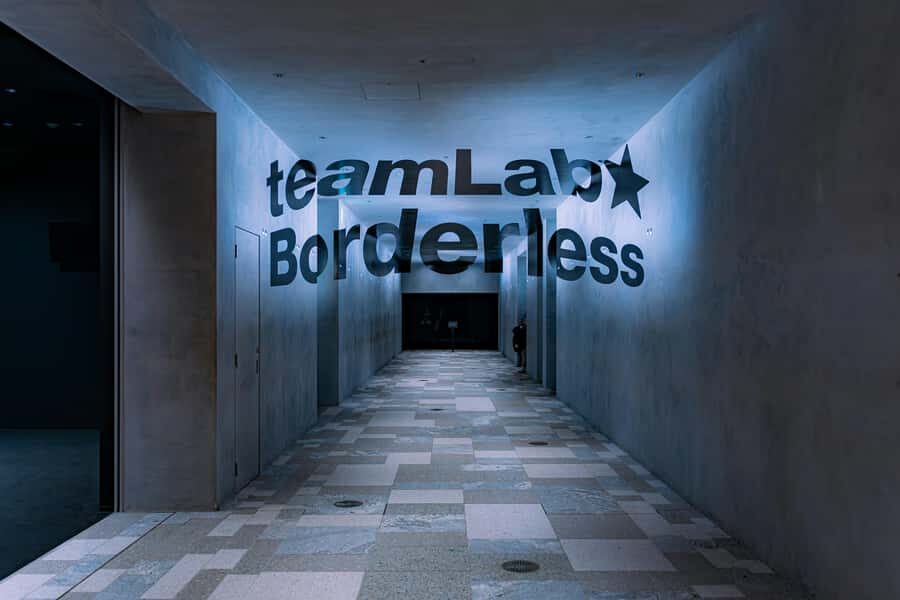 Crowd-Free Tokyo : teamLab, Roppongi Hills Views & NACT - Cost and value: what you’re really paying for