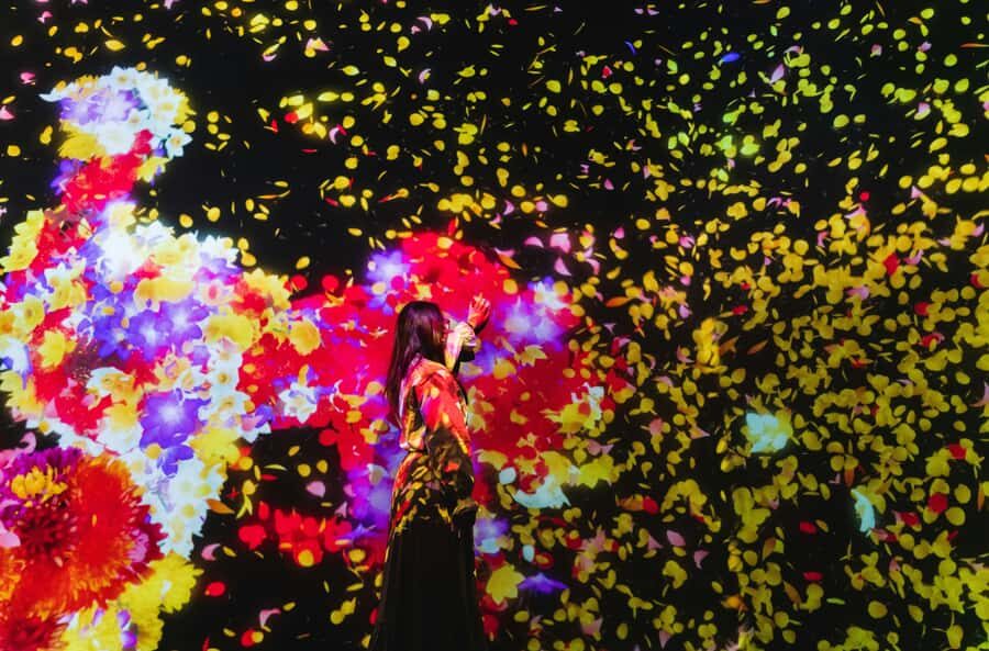 Crowd-Free Tokyo : teamLab, Roppongi Hills Views & NACT - The 4-hour flow: what the schedule feels like