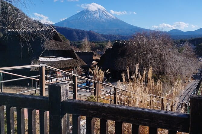 Customisable Mt.Fuji Private Day Trip, English Speaking Driver - Key things to know before you go