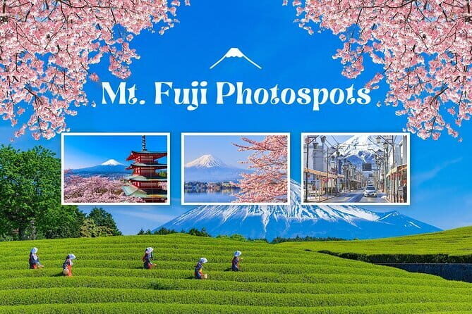 Customizable Tokyo Tour - Email Planning That Actually Saves Your Trip Time