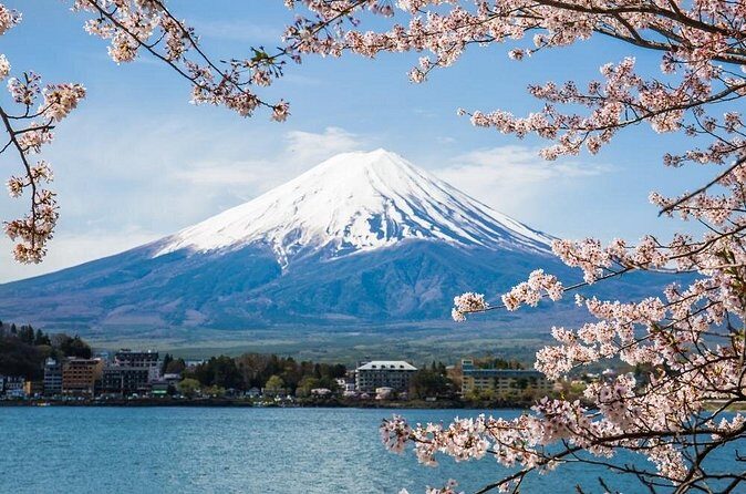 Day Trip To Mount Fuji and Hakone from Tokyo with English Guide - Lake Kawaguchiko: the long sit-down of the day