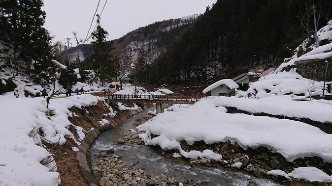 Day Trip to See the Snow Monkeys from Shinjuku with Lunch Buffet - Jigokudani Snow Monkey Park: walking in snow, then watching hot-spring life