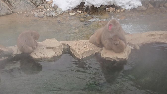 Day Trip to See the Snow Monkeys from Shinjuku with Lunch Buffet - Lunch buffet with 130 foods: the comfort break that makes the long day work