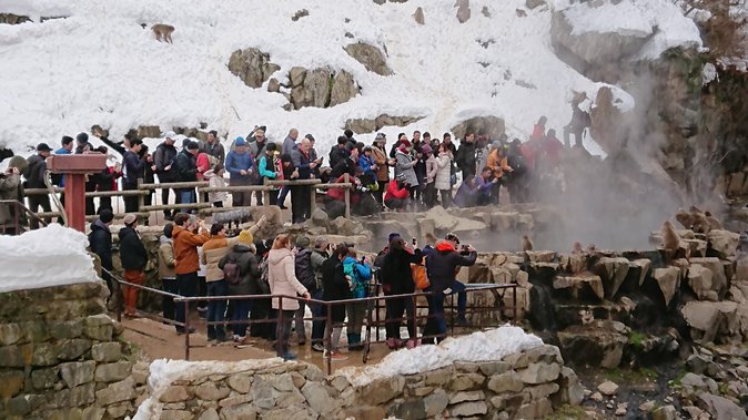 Day Trip to See the Snow Monkeys from Shinjuku with Lunch Buffet - Transport comfort on a 12-hour schedule: what to expect and what to prepare