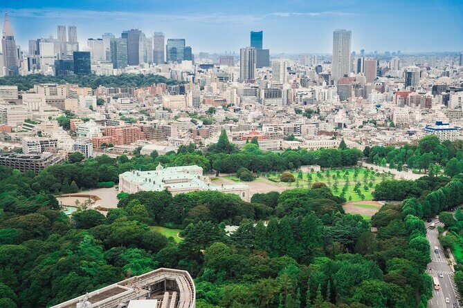 Discover Japanese Politics Over a Coffee in Tokyo - Meeting a Current or Former Diet Member (and How That Feels)