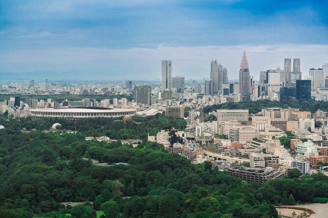 Discover Japanese Politics Over a Coffee in Tokyo - Booking Sense: How to Choose the Right Moment to Go