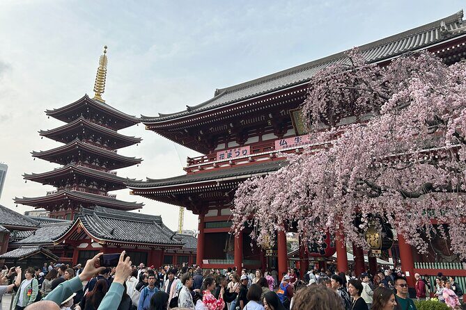 Discover the hidden gems of Tokyo:Private Tour with a Local Guide - Shrines Like Imado and Yushima Tenmangu for a More Personal Tokyo