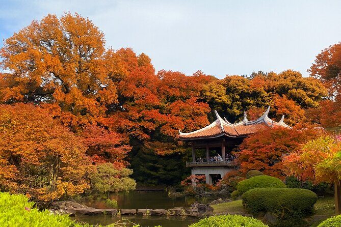 Discover the History of Shinjuku Gyoen – Private Walking Tour - Key highlights at a glance