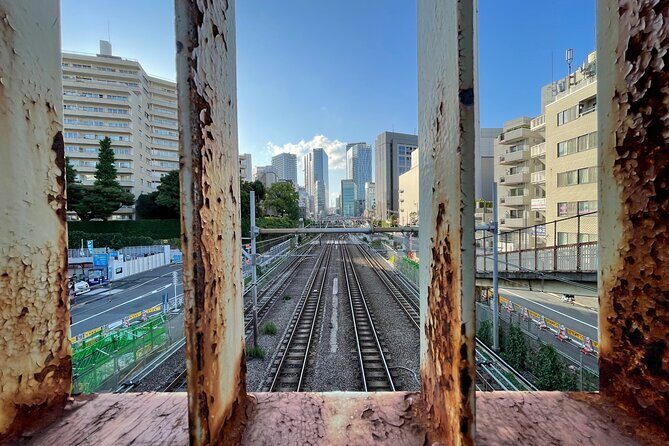 Discover Tokyo: 3-Hour Private Guided Photo Walking Tour - Odaiba: modern angles, water-and-city views, and street-level hidden spots