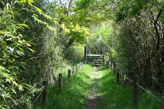 Easygoing Nature Walk in Hakone Tour - Key Highlights You’ll Care About