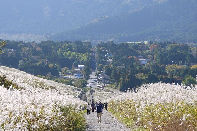 Easygoing Nature Walk in Hakone Tour - A Gentle Hakone Nature Walk That Starts at Wetlands