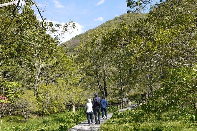 Easygoing Nature Walk in Hakone Tour - Meet Yoshi: The Small-Group Advantage on the Trail