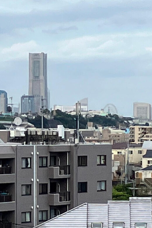 Eat like a local in Yokohama - with a Local Expert Guide! - Getting Started in Yokohama: Pickup by Hotel and Walking Route