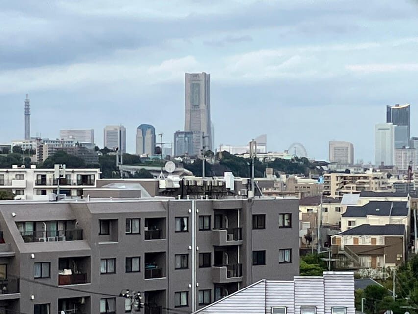 Eat like a local in Yokohama - with a Local Expert Guide! - The Main Event: What You’ll Eat Across 3+ Tasting Stops