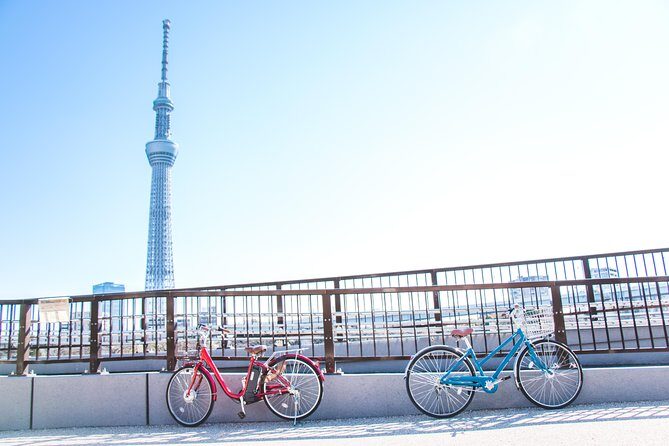 [electric bicycle tour]: 6-hour travel course by electric bicycle Asakusa, Ueno Park, Edo-Tokyo Museum, and Sky Tree. (There is a support car.) - Why an Electric Bike Day Feels Smarter Than It Looks