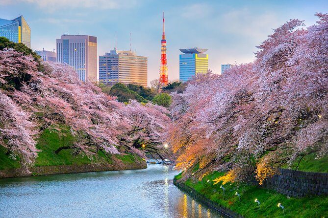 [electric bicycle tour]: 6-hour travel course by electric bicycle Asakusa, Ueno Park, Edo-Tokyo Museum, and Sky Tree. (There is a support car.) - Price and Value: What $283.17 Really Covers