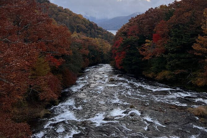 English-speaking guided day tour of Nikko with a private vehicle - Nikko in a Single Day: what a private 10-hour trip really feels like