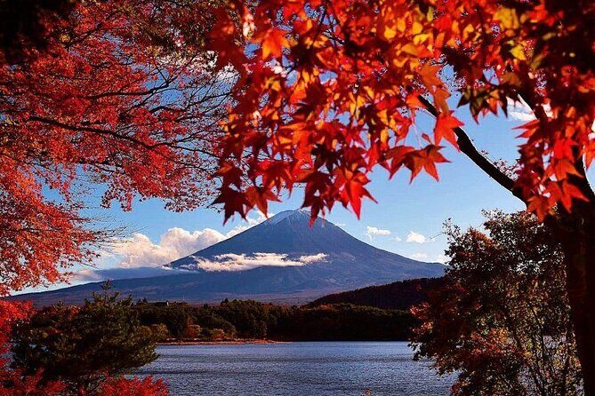 Enjoy Mt. Fuji View and free time shopping at Gotemba Outlets! - Mt. Fuji 5th Station: souvenir vibes plus photo hope