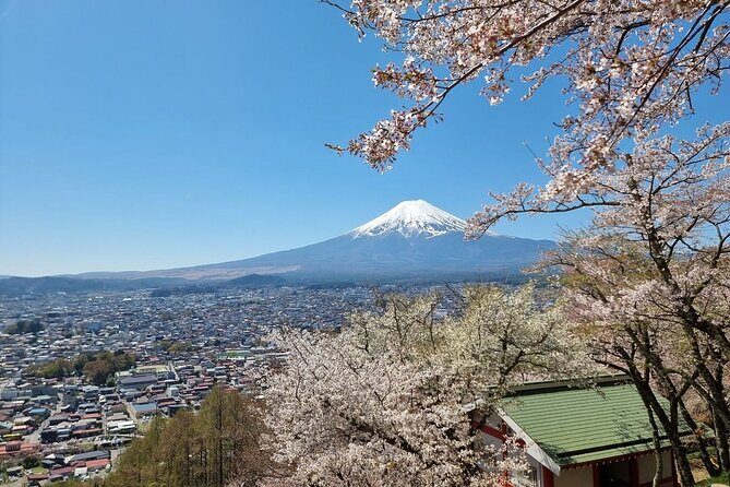 Enjoy Mt. Fuji View and free time shopping at Gotemba Outlets! - Guides, group pacing, and why the small details matter