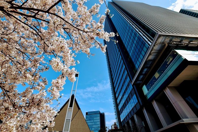 Essential tour for fashion and art in Tokyo for 6 hours with local lunch - Fashion on a schedule: what the 6 hours are really like