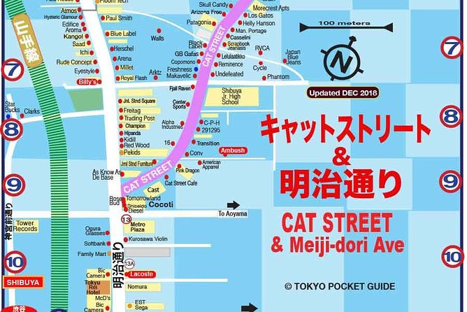 Essential tour for fashion and art in Tokyo for 6 hours with local lunch - Shibuya Cat Street: casual street style with room to wander