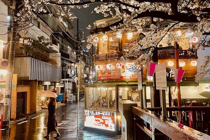 Exciting Evening of Eats in Tokyo - Meeting point logistics, pacing, and what to bring
