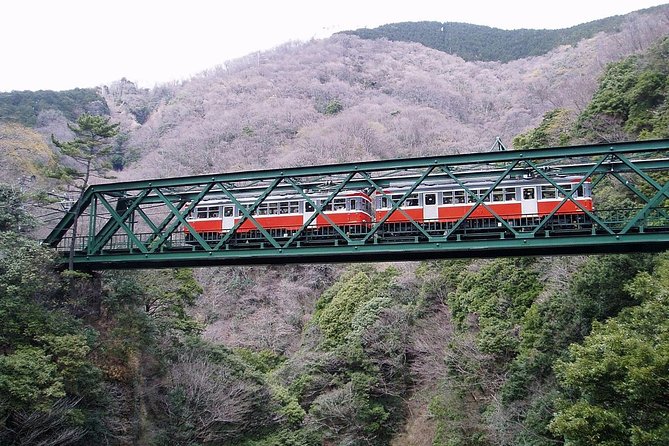 Exciting Hakone - One Day Tour from Tokyo - Tokyo to Hakone: The One-Day Plan That Actually Works