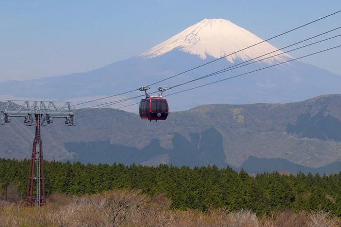Exciting Hakone - One Day Tour from Tokyo - The 8:30 Hotel Pickup and the “Start Here” Comfort Factor