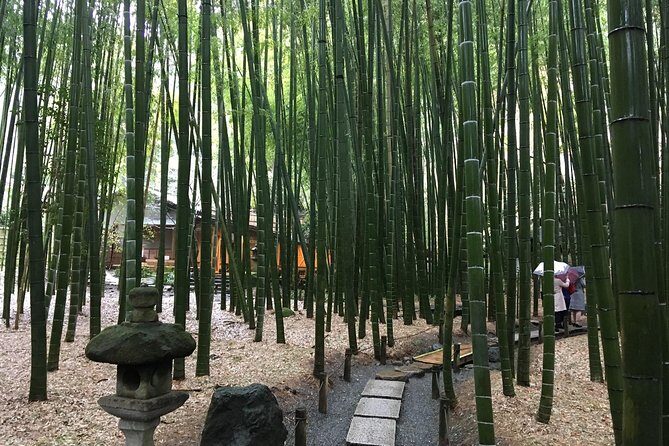Exciting Kamakura - One Day Tour from Tokyo - Stop 3: Hokoku-ji bamboo forest at Takedera Temple