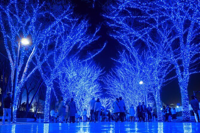Experience the Magic of Christmas in Tokyo - Santa Claus driver guide, snacks, and the small touches you’ll feel