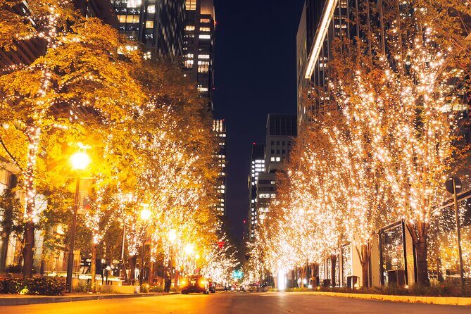 Experience the Magic of Christmas in Tokyo - Who this Christmas illuminations tour is perfect for