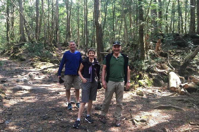 Experience the Stunning Nature of Mt.Fuji - Private Tour - From Tokyo at 8:00 to the Fuji Five Lakes: why this day feels manageable