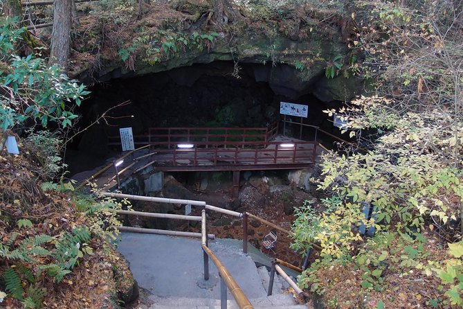 Experience the Stunning Nature of Mt.Fuji - Private Tour - Lake Saiko: quiet water near Aokigahara’s edge