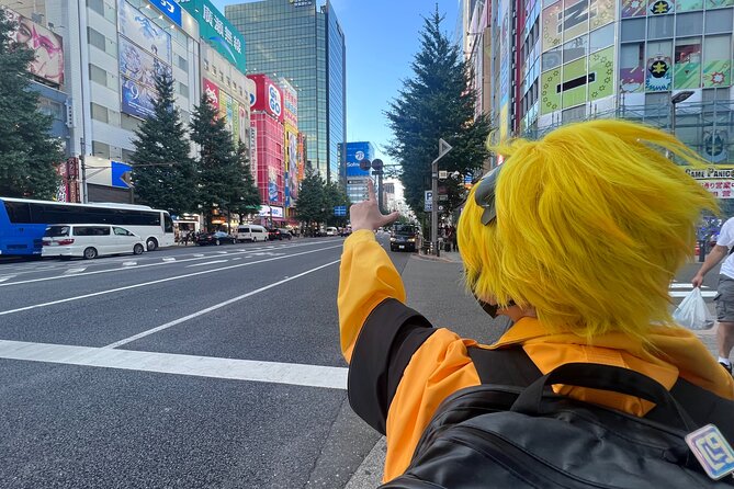 Explore Akihabara with Local Cosplayer Guide(s)! - Price and value: what you’re really paying for
