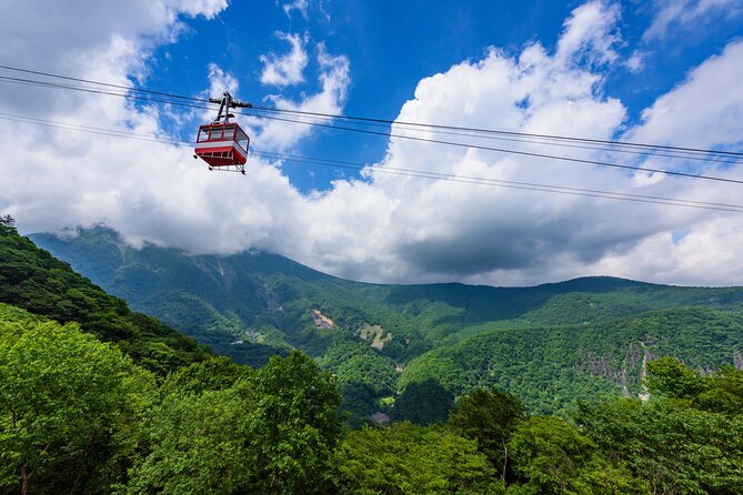 Explore the Culture and History of Nikko with this Private Tour - Private Nikko: why this day trip feels worth the ride