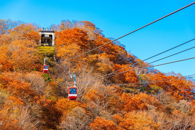 Explore the Culture and History of Nikko with this Private Tour - Lunch and local flavors: what you should expect (and what you need to plan)