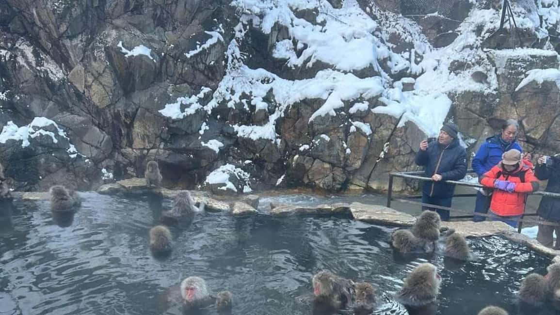 F: Tokyo:Nagano snow monkey/Zenko Ji temple private day tour - Zenko-ji Temple: 1,400+ years old, and a calmer kind of sightseeing