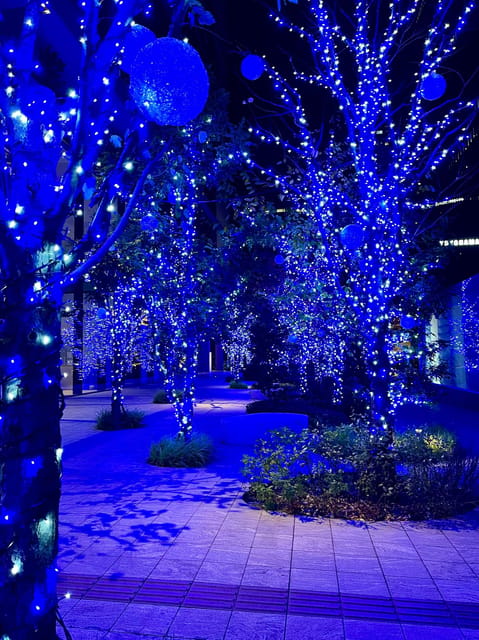 Find Yokohama's Hidden Gem: Walking Tour with Local Guide - Markets, parks, and alley streets: what you’re getting at each stop
