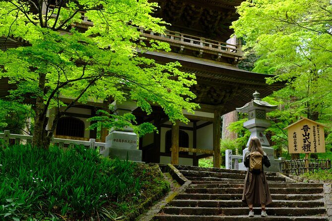 Forest Bathing in Temple and Enjoy onsen with healing power - Key highlights to know before you go