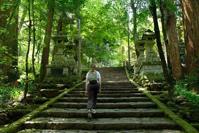 Forest Bathing in Temple and Enjoy onsen with healing power - Lunch at a temple chaya: more than a break
