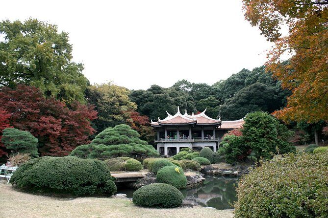 Free Choice of Itineraries Tokyo Private Tour - Hotel lobby pickup and public transport: what it’s like in real life