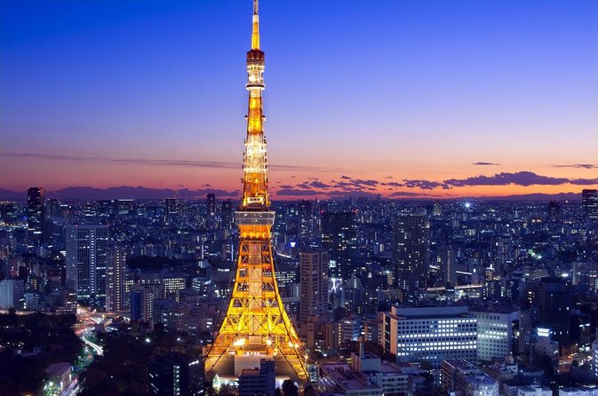 Freely set up plans Guided Private Tours in Tokyo - Key takeaways